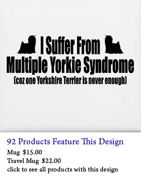 yorkie syndrome